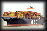 MSC